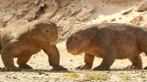 Nonton Film Life on Our Planet Season 1 Episode 4 Terbaru Nonton Film Life on Our Planet Season 1 Episode 4 Terbaru