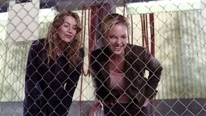 Nonton Film Grey’s Anatomy Season 2 Episode 11 Terbaru Nonton Film Grey’s Anatomy Season 2 Episode 11 Terbaru