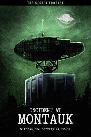Nonton Film Incident at Montauk (2019) Terbaru