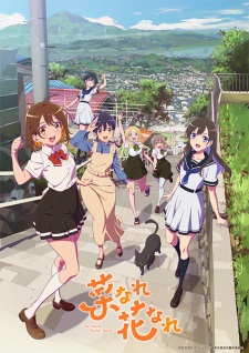 Nonton Film Na Nare Hana Nare – Episode 6 Terbaru Nonton Film Na Nare Hana Nare – Episode 6 Terbaru