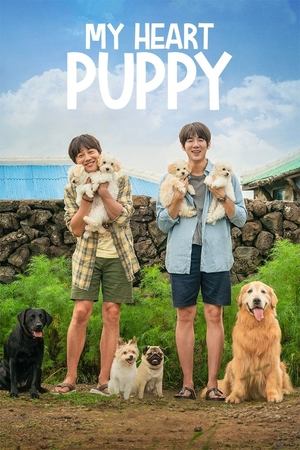 Nonton Film My Heart Puppy (2023) Terbaru